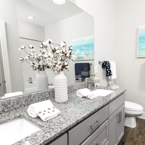 bathroom with dual sinks, large mirror, and decor