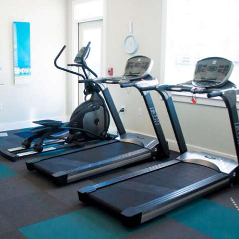 treadmill and elliptical in the fitness center