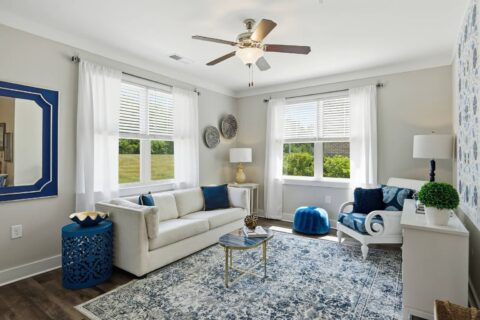 Bright living room with white walls, two couches, blue and white decor, a patterned rug, a ceiling fan, a window view of greenery, and various decorative items including pillows, lamps, and wall art.